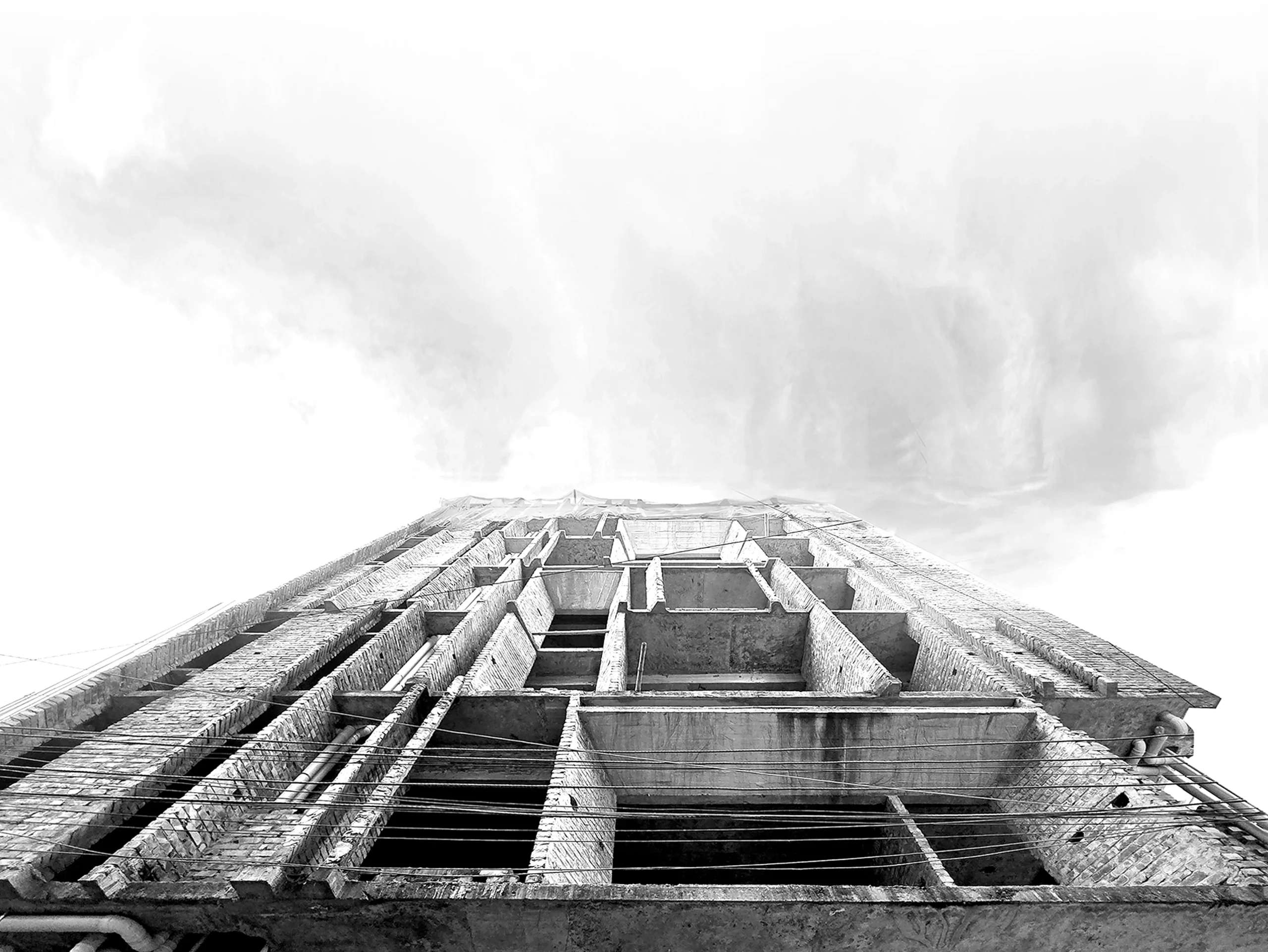 bottom image 2 - PMC